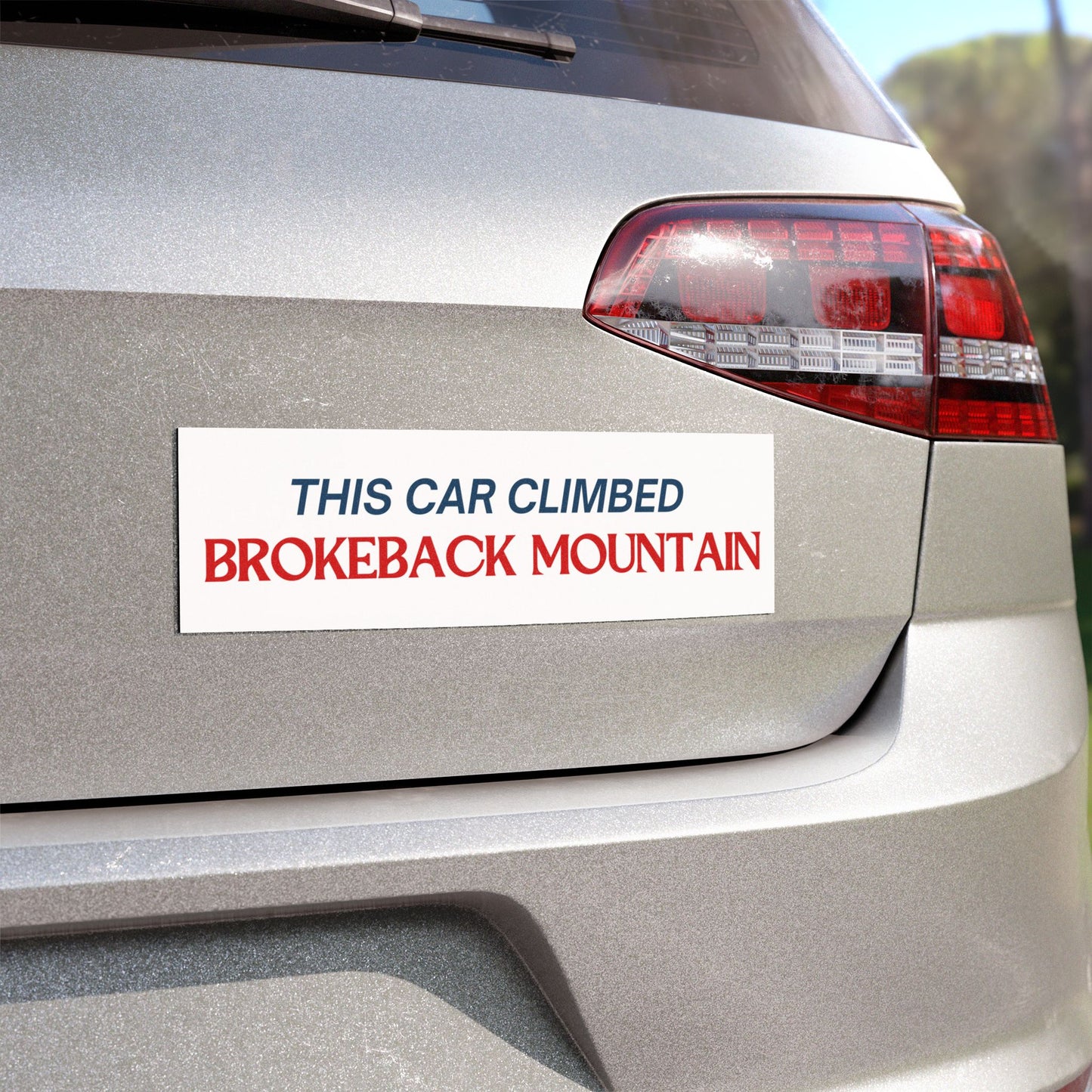 This Car Climbed Brokeback Mountain Car Magnet