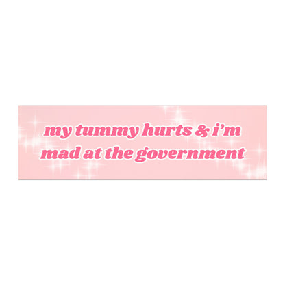My Tummy Hurts And I'm Mad At The Government Car Magnet