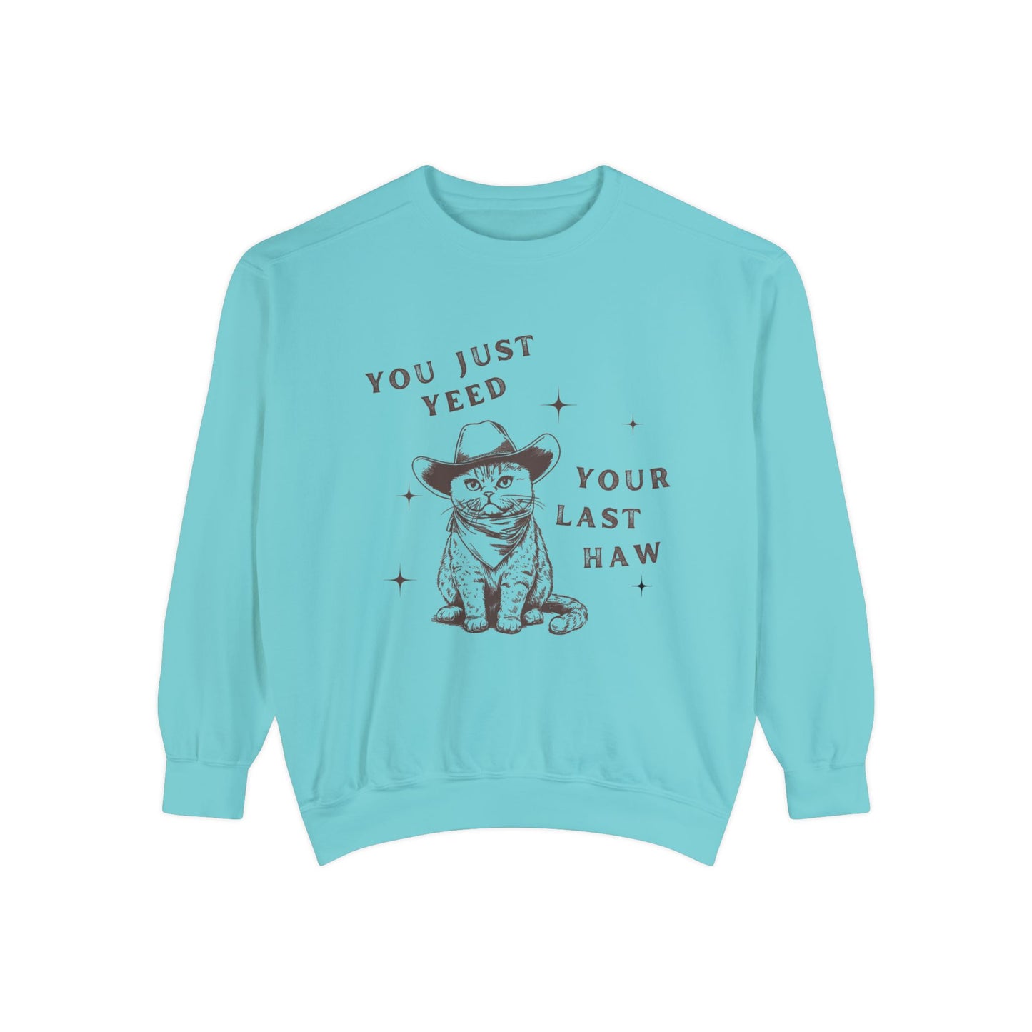 You Just Yeed Your Last Haw Western Cat Sweatshirt